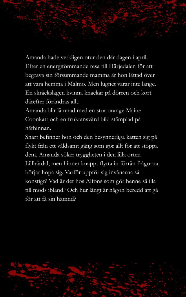 Katten på Kullerstensgatan Baksidan
