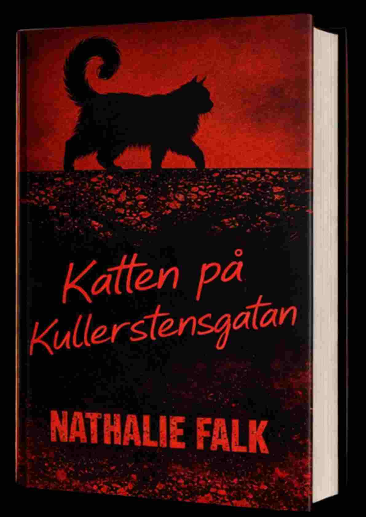 Katten på Kullerstensgatan